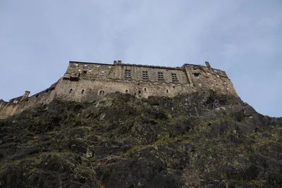 DSC_7369 (Large).JPG